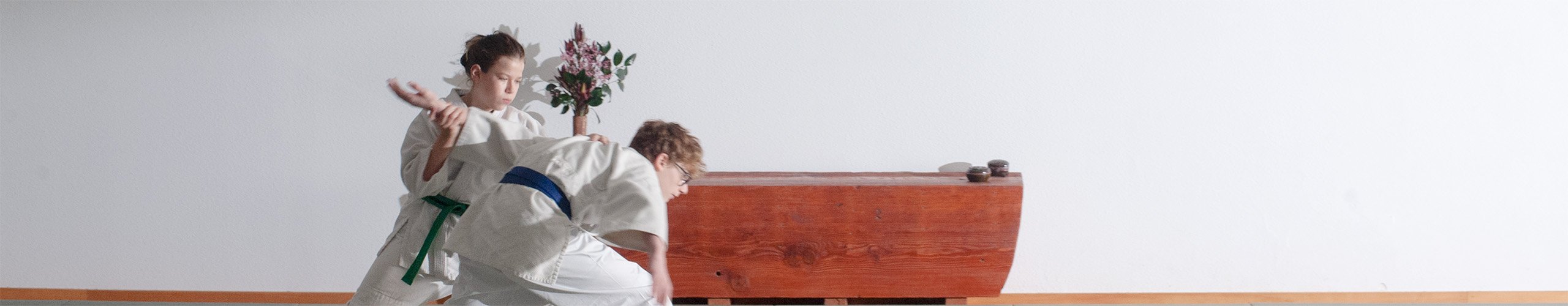DSC_8097 header Aikido Classes for Teens