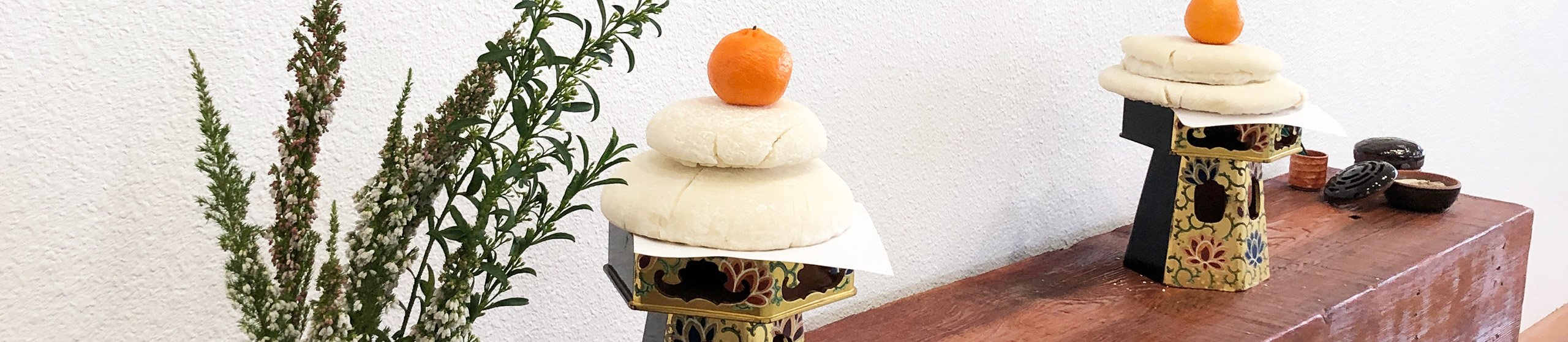 IMG_1771 Group of Tacoma Aikido Members