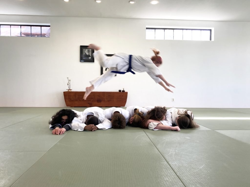 Aikido Teen Flying though Air Aikido Teen Flying though Air