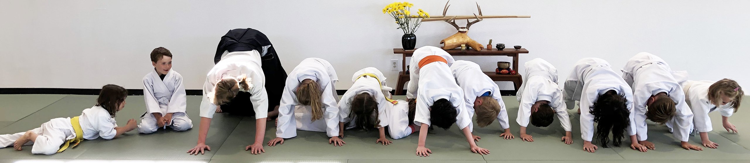Tacoma Kids Aikido Tacoma Kids Aikido