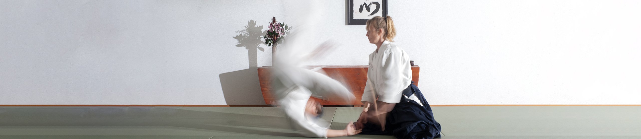 What is Aikido Martial Arts? What is Aikido Martial Arts?