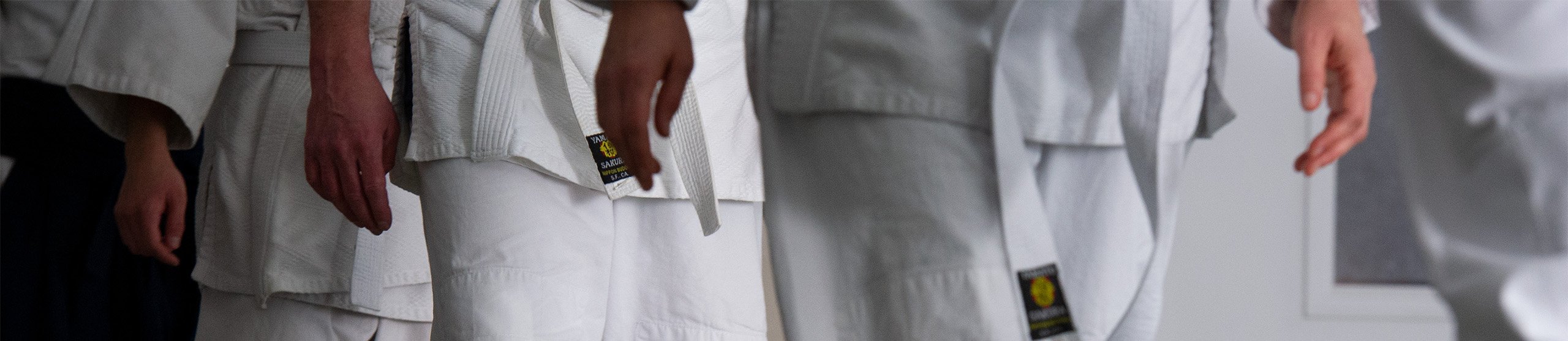 WLP_6067-1 Tacoma Aikikai Members