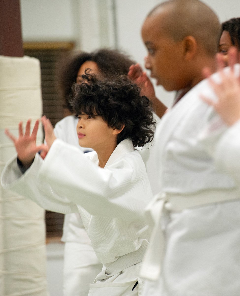 Kids Aikido classes in Tacoma Kids Aikido classes in Tacoma