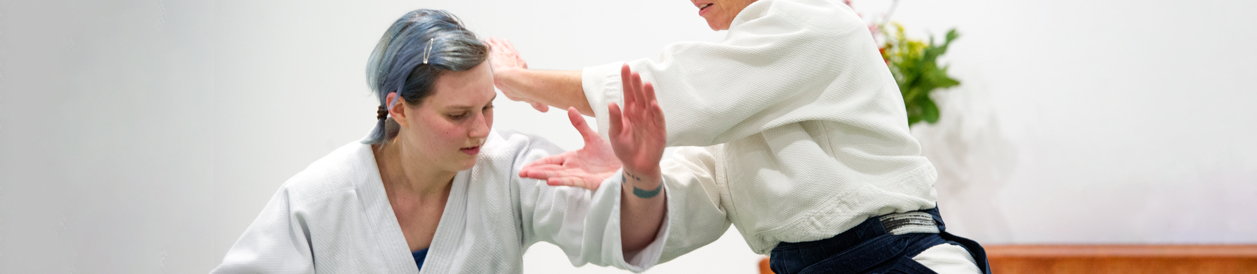 Aikido Martial Arts for Adults
